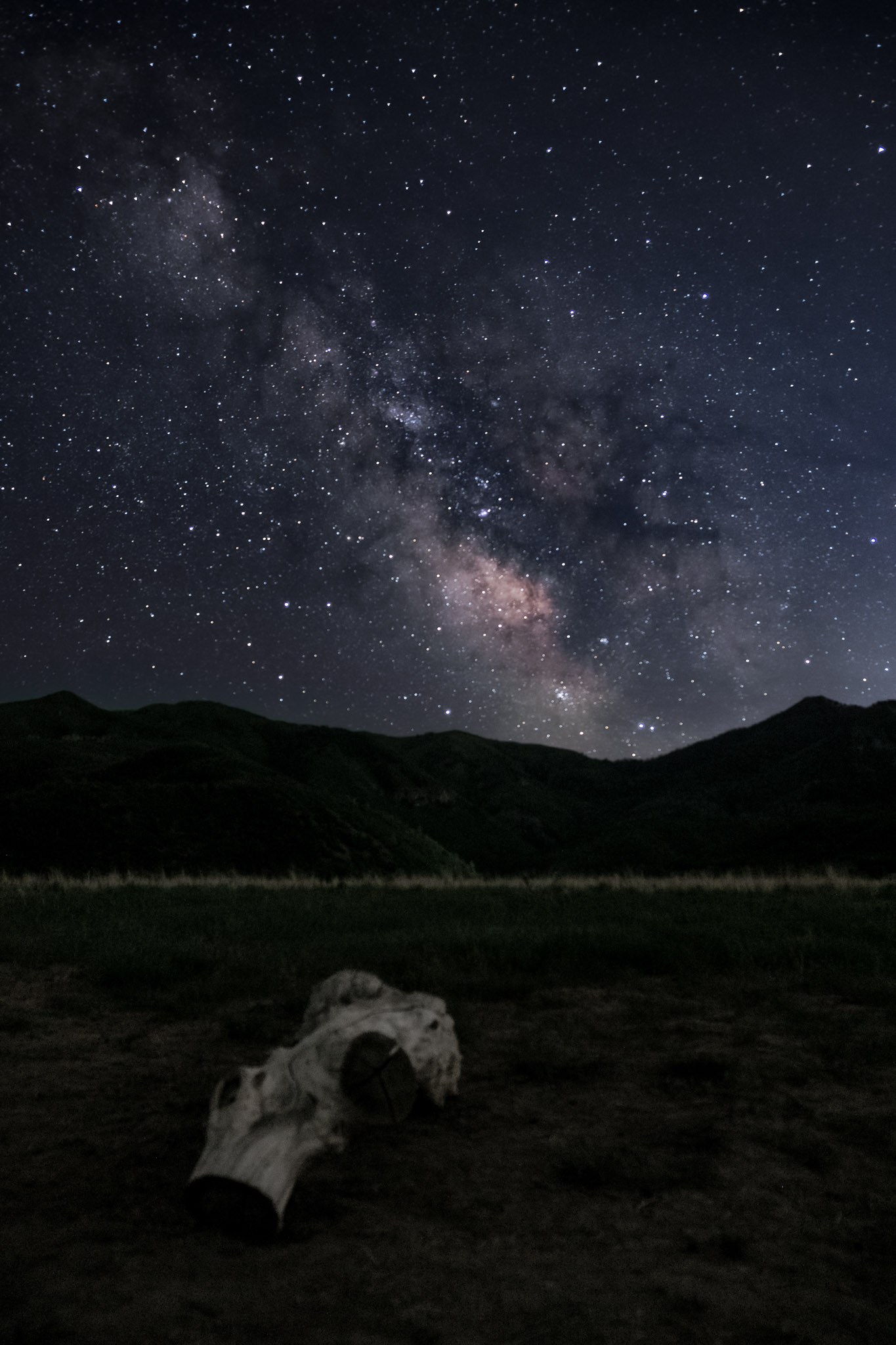 A white log lays in the grass under the Milky Way that rises over the mountains